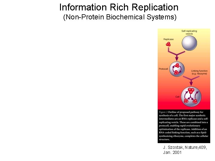 Information Rich Replication (Non-Protein Biochemical Systems) J. Szostak, Nature, 409, Jan. 2001 