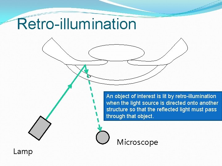 Retro-illumination An object of interest is lit by retro-illumination when the light source is