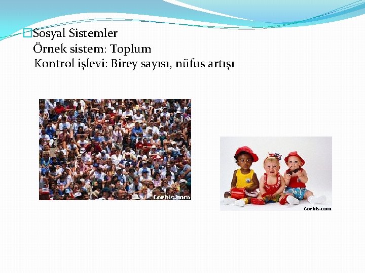 �Sosyal Sistemler Örnek sistem: Toplum Kontrol işlevi: Birey sayısı, nüfus artışı 