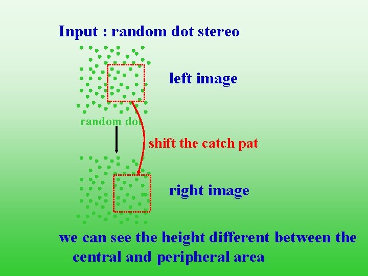 Input : random dot stereo left image random dot shift the catch pat right