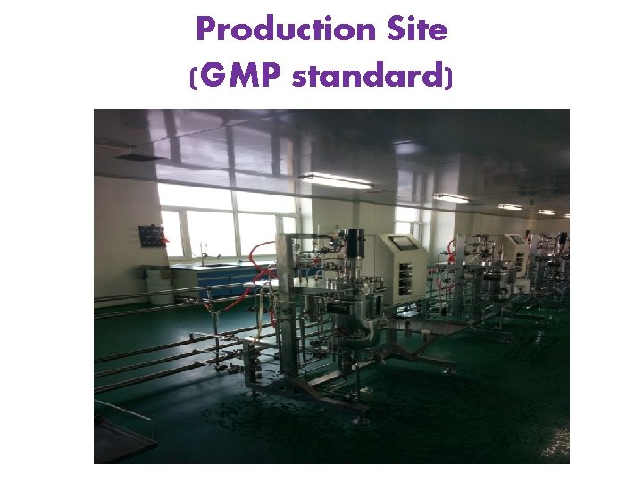 Production Site (GMP standard) 