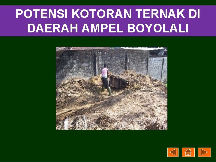 POTENSI KOTORAN TERNAK DI DAERAH AMPEL BOYOLALI 