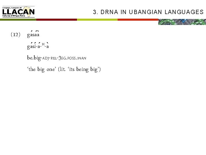 3. DRNA IN UBANGIAN LANGUAGES (12) ga sa a ga si -a -H-a be.