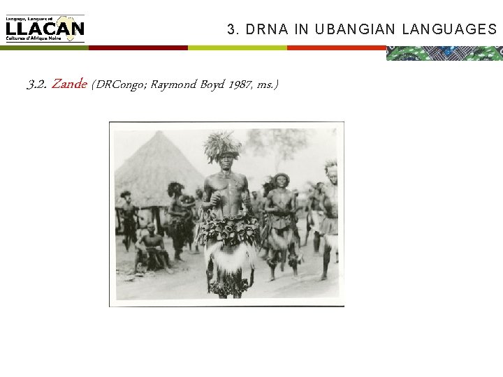3. DRNA IN UBANGIAN LANGUAGES 3. 2. Zande (DRCongo; Raymond Boyd 1987, ms. )