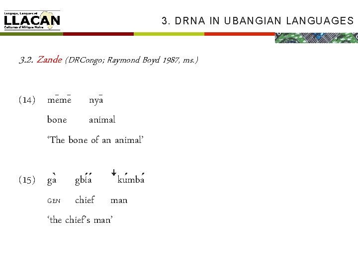3. DRNA IN UBANGIAN LANGUAGES 3. 2. Zande (DRCongo; Raymond Boyd 1987, ms. )