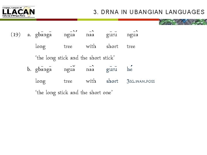 3. DRNA IN UBANGIAN LANGUAGES (19) a. gba ngu a na a gu ru