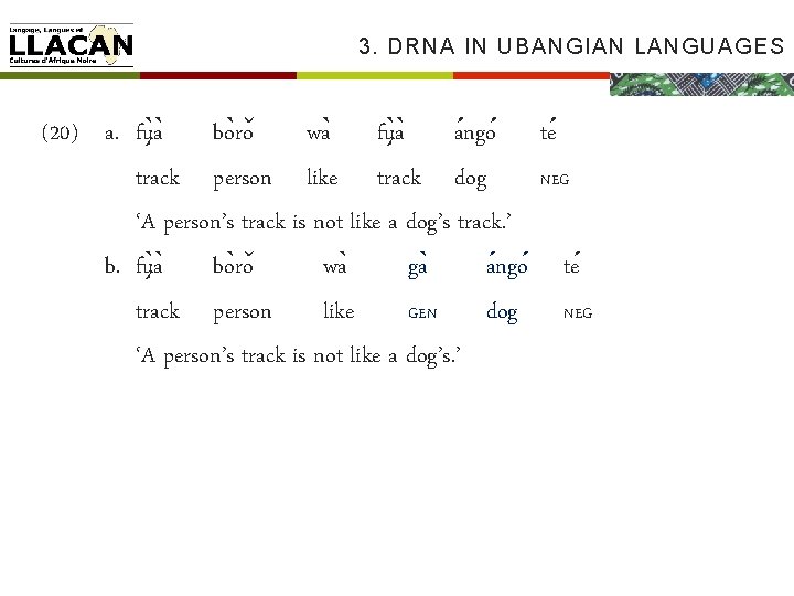 3. DRNA IN UBANGIAN LANGUAGES (20) a. fu a bo ro wa fu a