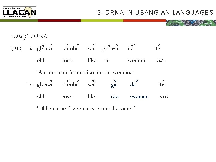 3. DRNA IN UBANGIAN LANGUAGES “Deep” DRNA (21) a. gbi nza ku mba wa