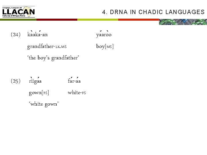 4. DRNA IN CHADIC LANGUAGES (24) ka aka -an grandfather-LK. MS ‘the boy’s grandfather’