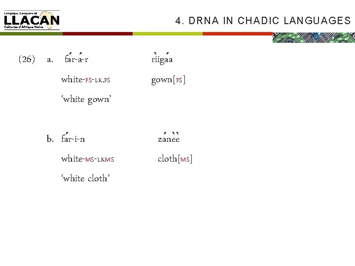 4. DRNA IN CHADIC LANGUAGES (26) a. fa r-a -r white-FS-LK. FS ‘white gown’