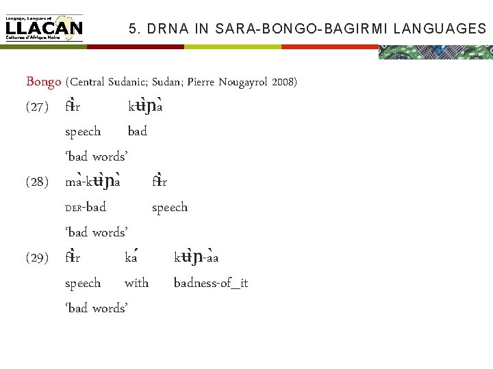 5. DRNA IN SARA-BONGO-BAGIRMI LANGUAGES Bongo (Central Sudanic; Sudan; Pierre Nougayrol 2008) (27) fɨ