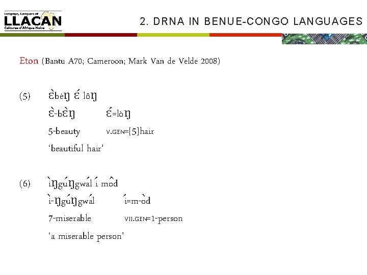 2. DRNA IN BENUE-CONGO LANGUAGES Eton (Bantu A 70; Cameroon; Mark Van de Velde