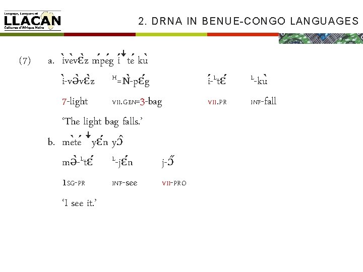 2. DRNA IN BENUE-CONGO LANGUAGES (7) a. i ve vɛ z m pe g