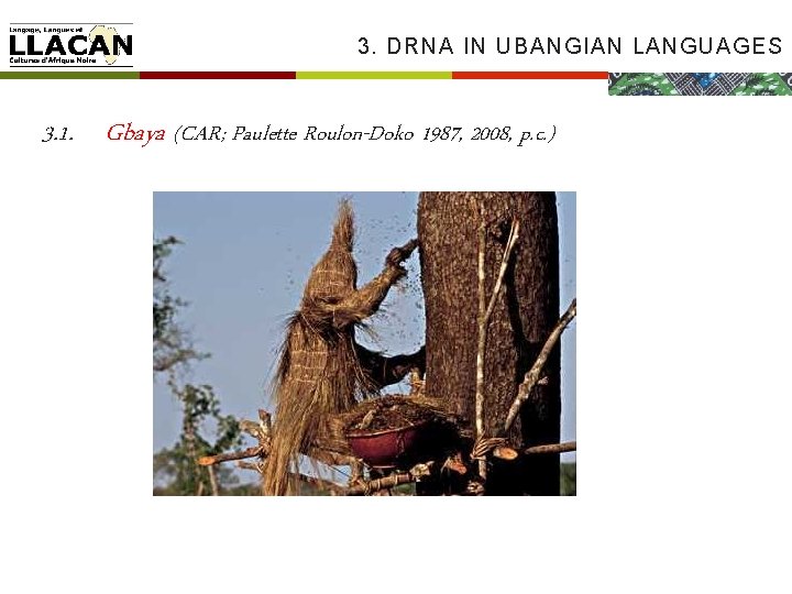 3. DRNA IN UBANGIAN LANGUAGES 3. 1. Gbaya (CAR; Paulette Roulon-Doko 1987, 2008, p.
