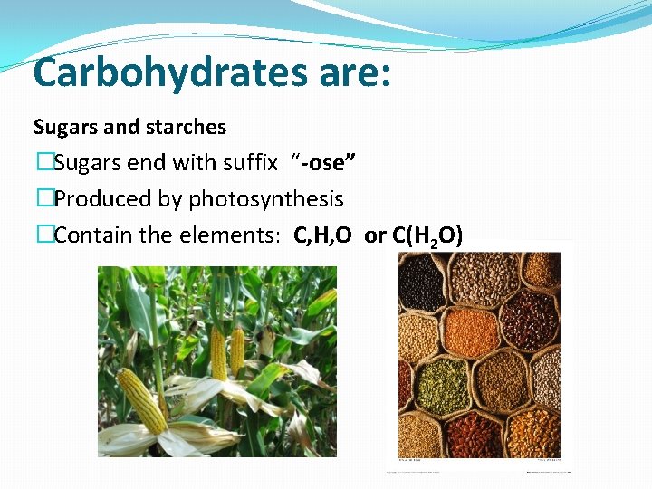 Semester 2 Final Review Part 2 Carbohydrates Photosynthesis