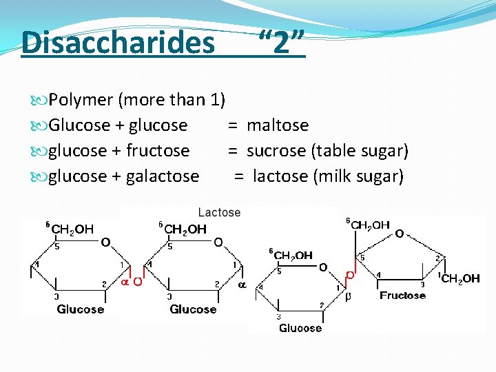 Semester 2 Final Review Part 2 Carbohydrates Photosynthesis