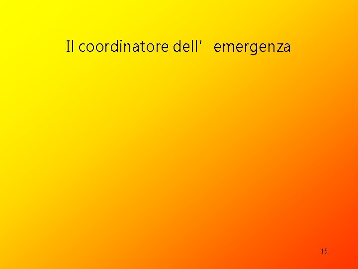 Il coordinatore dell’emergenza 15 