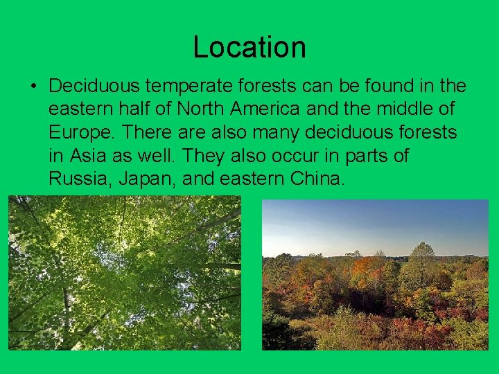 Location • Deciduous temperate forests can be found in the eastern half of North