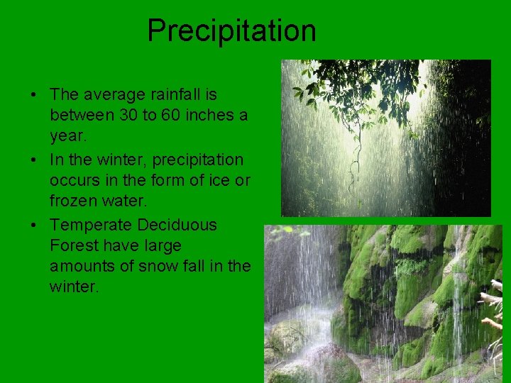 Precipitation • The average rainfall is between 30 to 60 inches a year. •