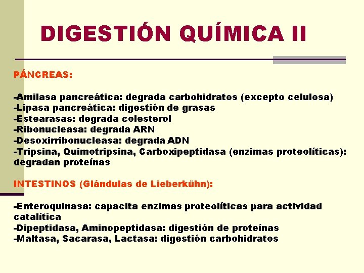 DIGESTIÓN QUÍMICA II PÁNCREAS: -Amilasa pancreática: degrada carbohidratos (excepto celulosa) -Lipasa pancreática: digestión de