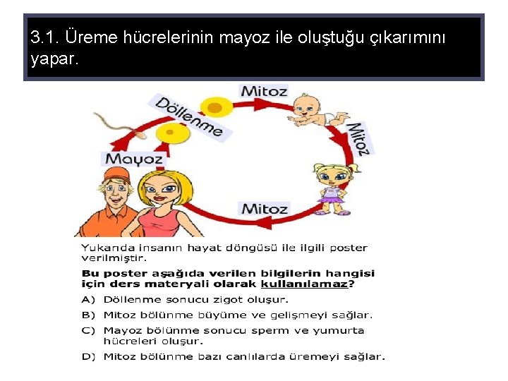 3. 1. Üreme hücrelerinin mayoz ile oluştuğu çıkarımını yapar. 