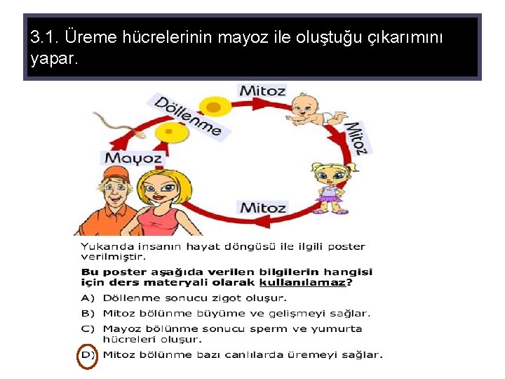 3. 1. Üreme hücrelerinin mayoz ile oluştuğu çıkarımını yapar. 