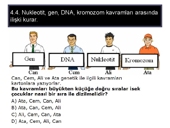 4. 4. Nukleotit, gen, DNA, kromozom kavramları arasında ilişki kurar. 