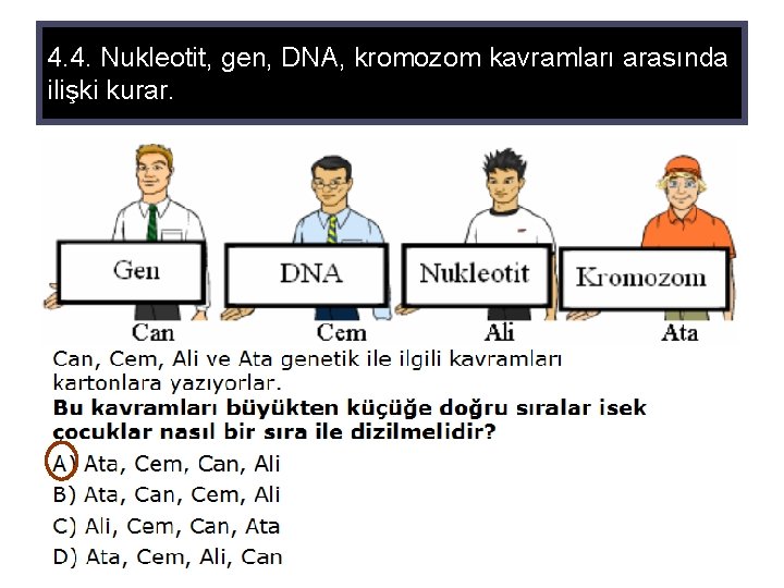 4. 4. Nukleotit, gen, DNA, kromozom kavramları arasında ilişki kurar. 