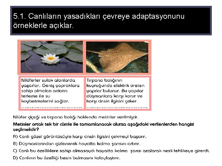 5. 1. Canlıların yasadıkları çevreye adaptasyonunu örneklerle açıklar. 