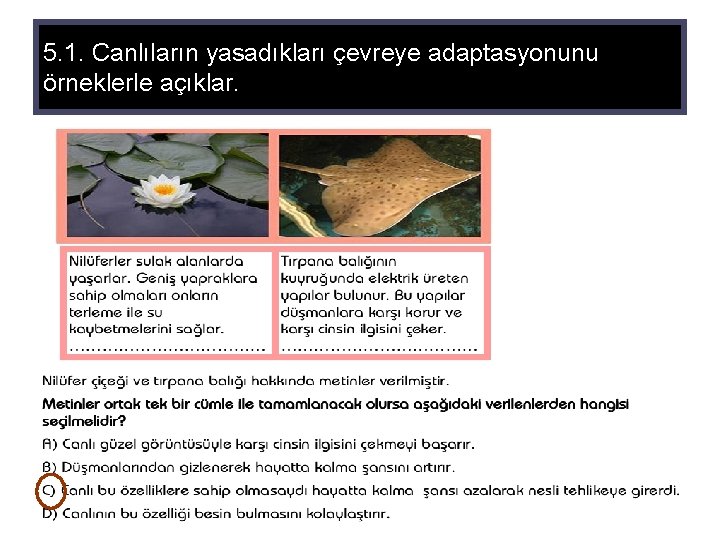 5. 1. Canlıların yasadıkları çevreye adaptasyonunu örneklerle açıklar. 