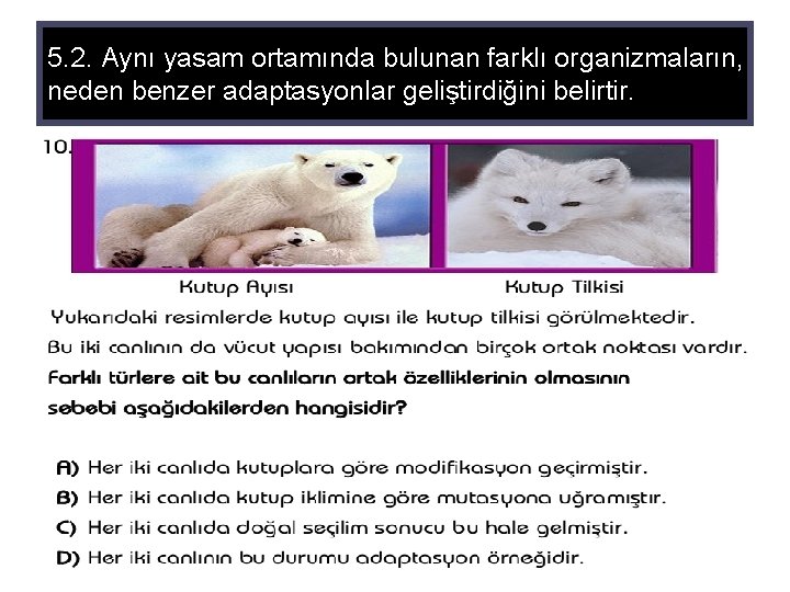 5. 2. Aynı yasam ortamında bulunan farklı organizmaların, neden benzer adaptasyonlar geliştirdiğini belirtir. 