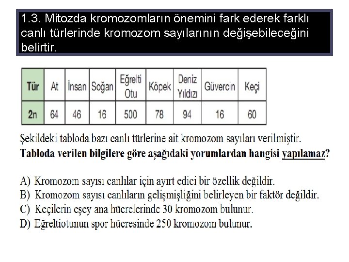 1. 3. Mitozda kromozomların önemini fark ederek farklı canlı türlerinde kromozom sayılarının değişebileceğini belirtir.