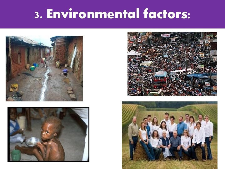 3. Environmental factors: 