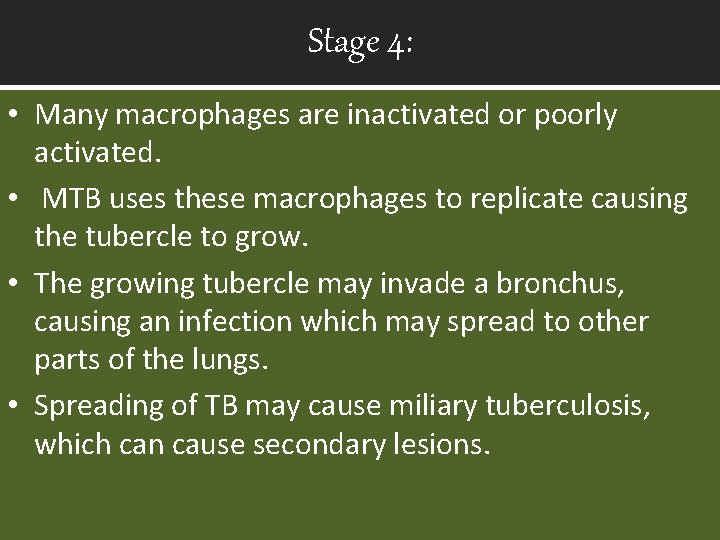 Stage 4: • Many macrophages are inactivated or poorly activated. • MTB uses these