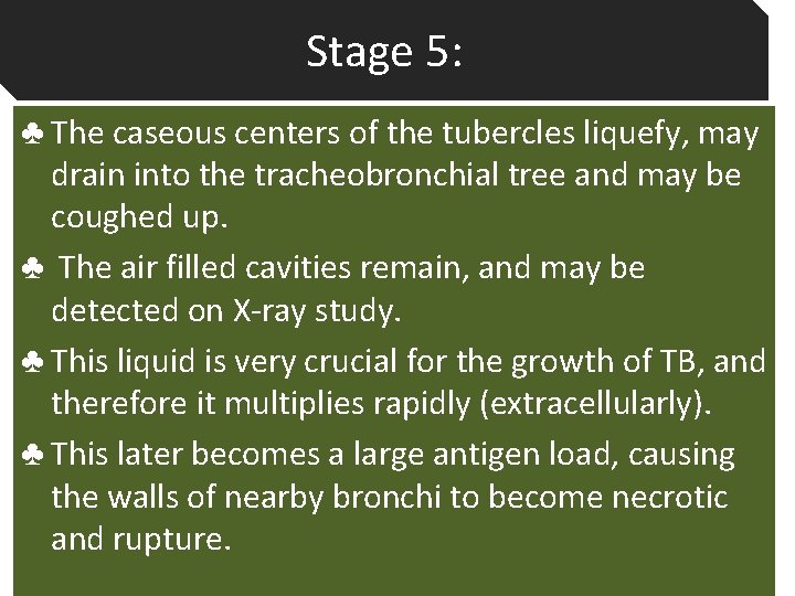 Stage 5: ♣ The caseous centers of the tubercles liquefy, may drain into the