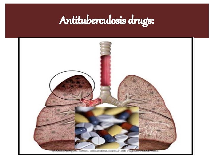 Antituberculosis drugs: 