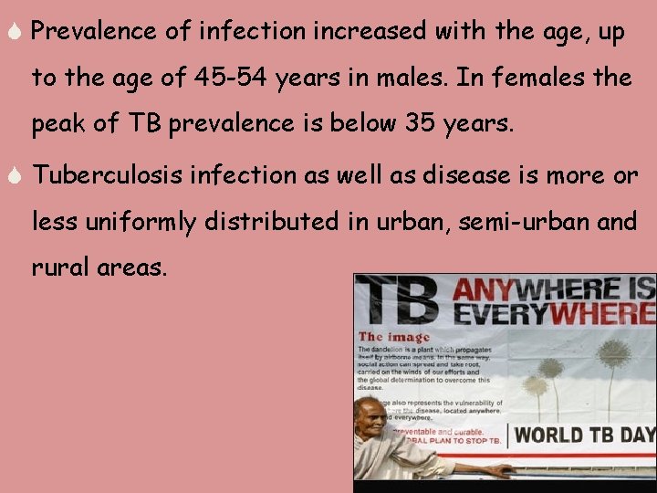 S Prevalence of infection increased with the age, up to the age of 45