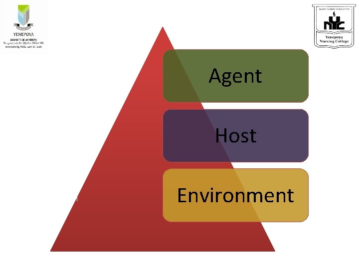 Agent Host Environment 