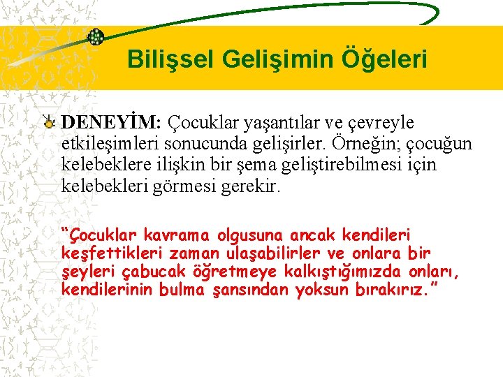 Bilişsel Gelişimin Öğeleri DENEYİM: Çocuklar yaşantılar ve çevreyle etkileşimleri sonucunda gelişirler. Örneğin; çocuğun kelebeklere