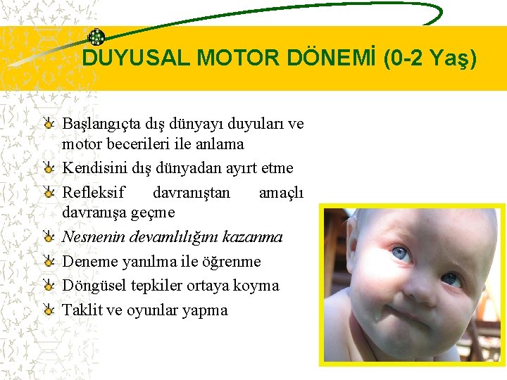 DUYUSAL MOTOR DÖNEMİ (0 -2 Yaş) Başlangıçta dış dünyayı duyuları ve motor becerileri ile