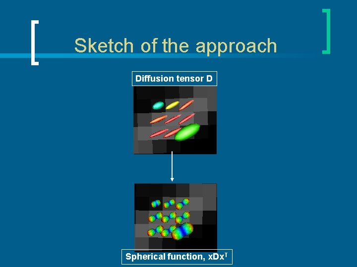 Sketch of the approach Diffusion tensor D Spherical function, x. Dx. T 