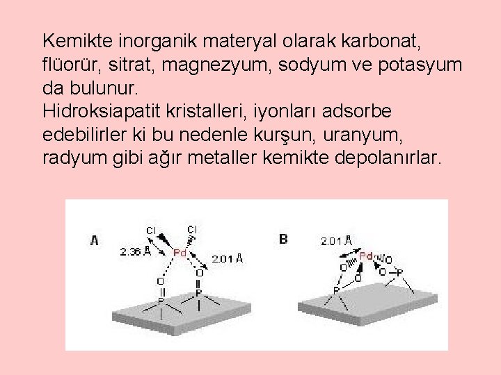 Kemikte inorganik materyal olarak karbonat, flüorür, sitrat, magnezyum, sodyum ve potasyum da bulunur. Hidroksiapatit