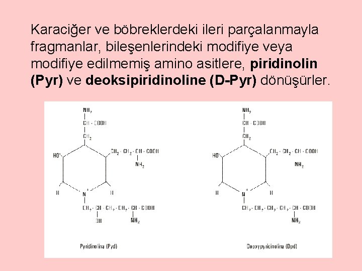 Karaciğer ve böbreklerdeki ileri parçalanmayla fragmanlar, bileşenlerindeki modifiye veya modifiye edilmemiş amino asitlere, piridinolin