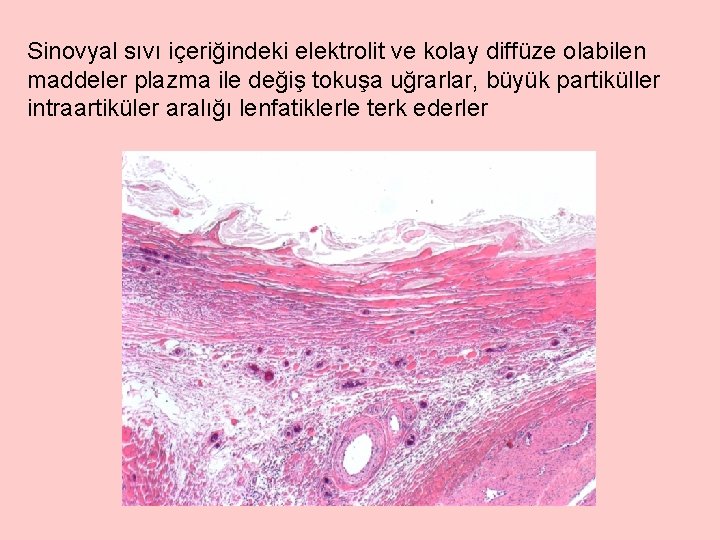 Sinovyal sıvı içeriğindeki elektrolit ve kolay diffüze olabilen maddeler plazma ile değiş tokuşa uğrarlar,