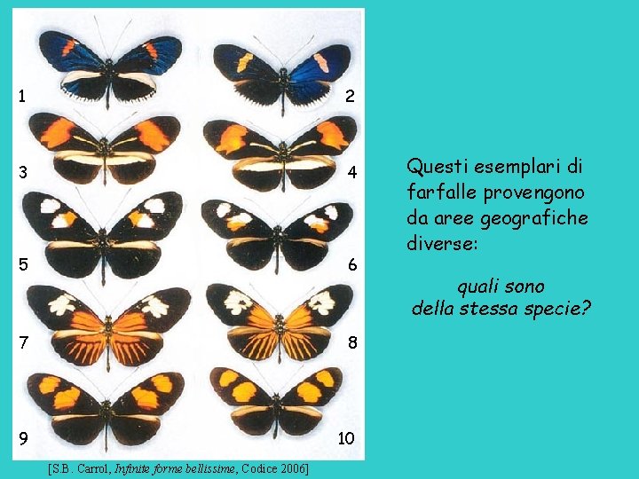 1 2 3 4 5 6 7 8 9 10 [S. B. Carrol, Infinite