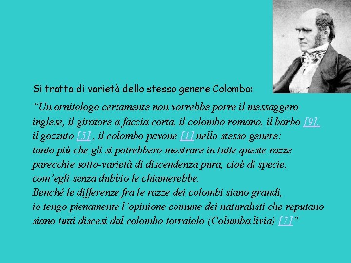 Si tratta di varietà dello stesso genere Colombo: “Un ornitologo certamente non vorrebbe porre