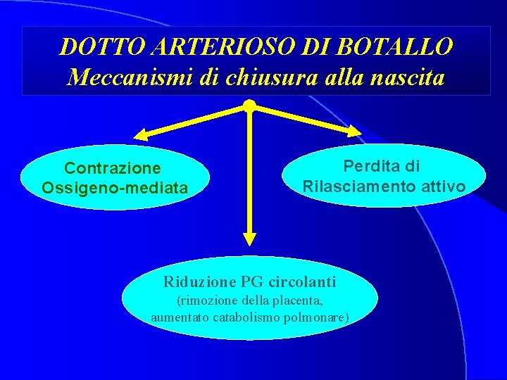 DOTTO ARTERIOSO DI BOTALLO Meccanismi di chiusura alla nascita Contrazione Ossigeno-mediata Perdita di Rilasciamento