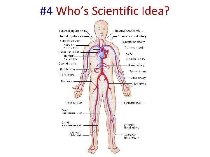 #4 Who’s Scientific Idea? 