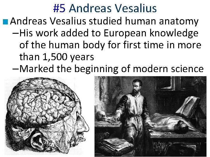 #5 Andreas Vesalius ■ Andreas Vesalius studied human anatomy –His work added to European