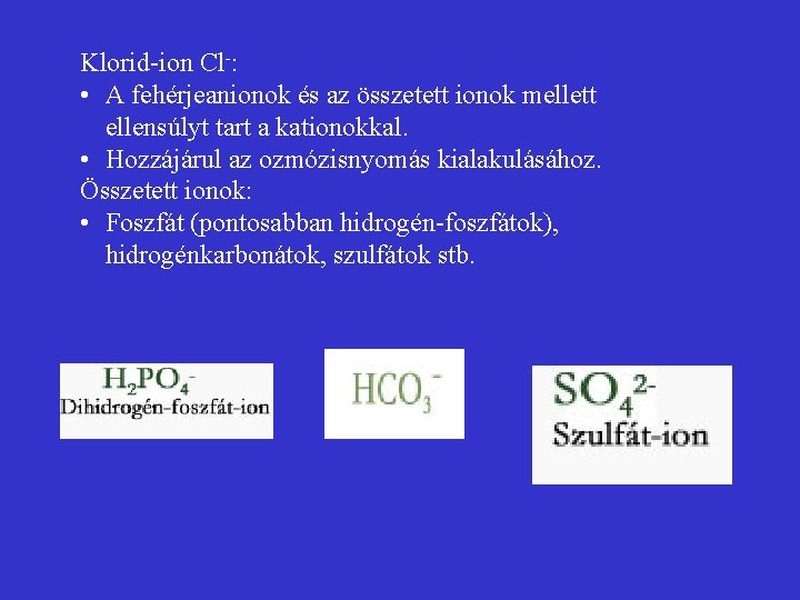 Klorid-ion Cl-: • A fehérjeanionok és az összetett ionok mellett ellensúlyt tart a kationokkal.
